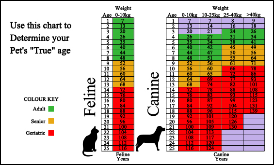 Range Animal Hospital LLC - Surveillance Screening