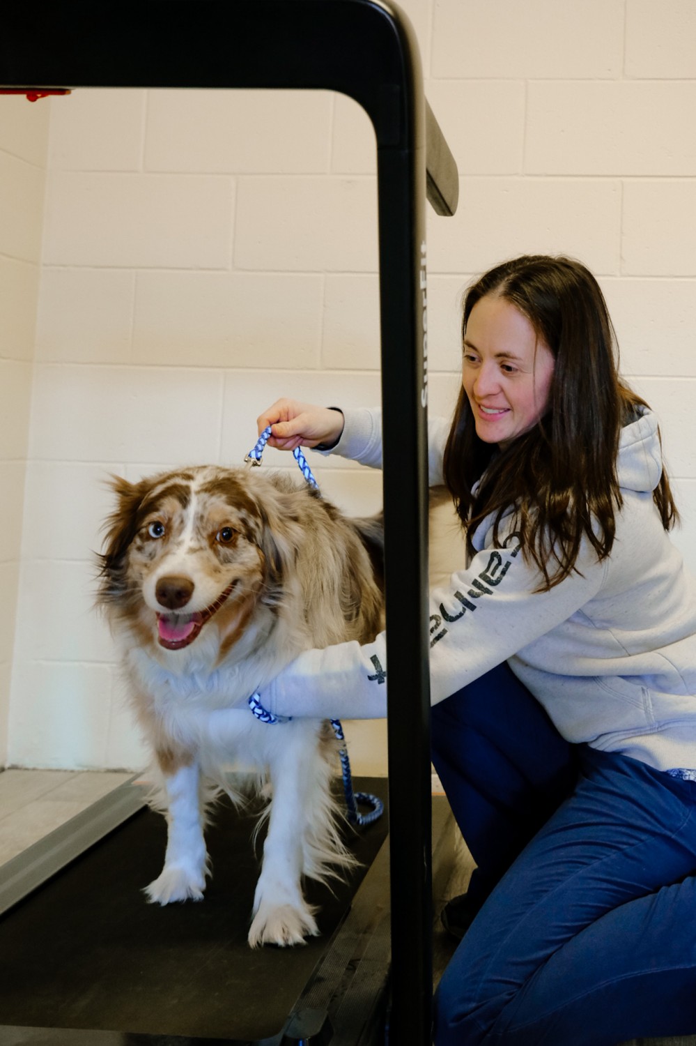 Dog on a Treadmill